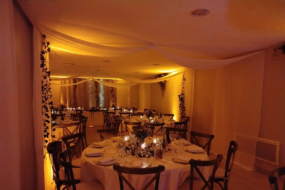 David Music & Events — photo 1