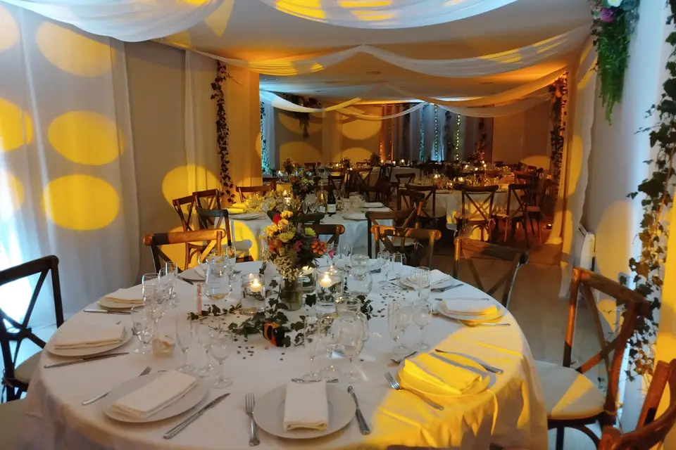 David Music & Events — photo 2