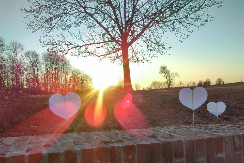 Fort de Seclin — photo 4