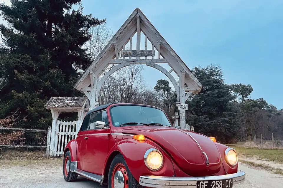 PLP Services — photo 6