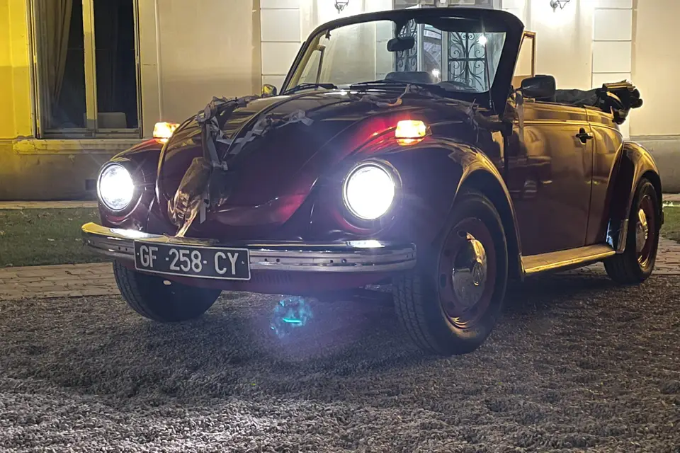 PLP Services — photo 7