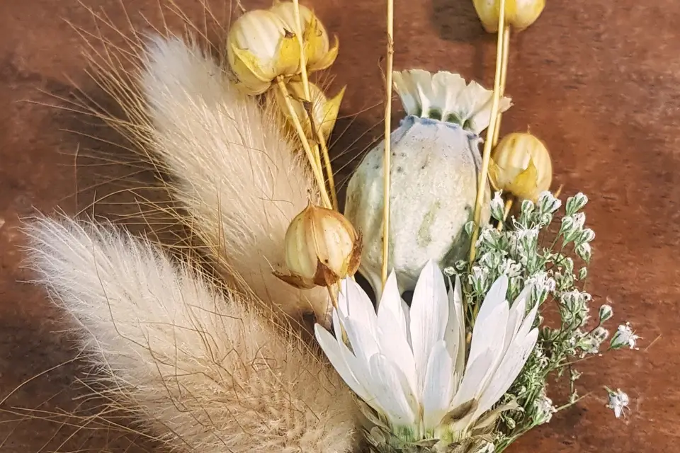 Les Fleurs de Kerjuhel — photo 3