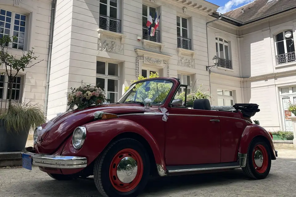 PLP Services — photo 4