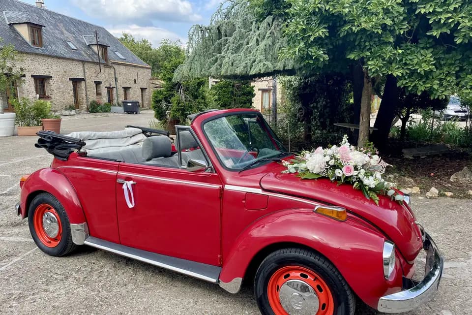 PLP Services — photo 1