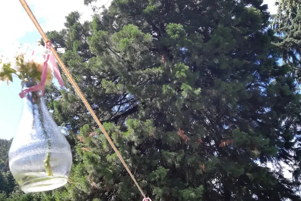 Le Séquoia — photo 7