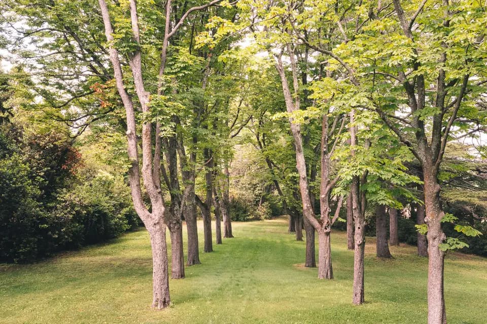 Château Saint Martin de Graves — photo 6
