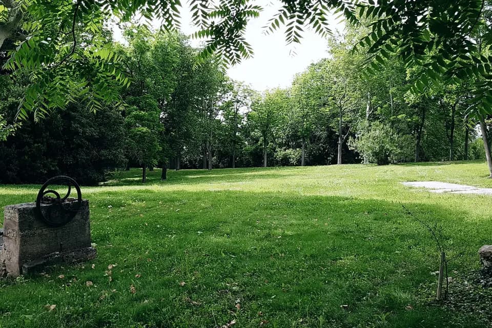 Château Saint Martin de Graves — photo 9