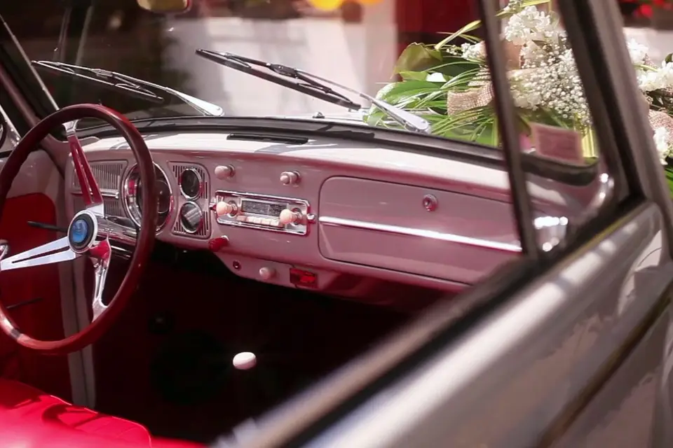 Pixellulose — photo 5