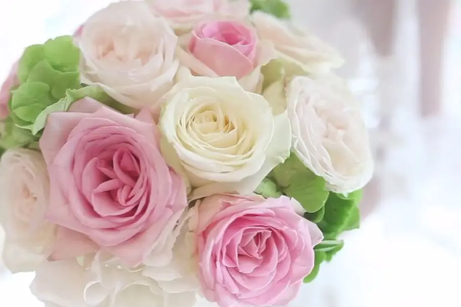 Pixellulose — photo 3