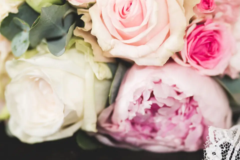 PhotoByMarie — photo 1