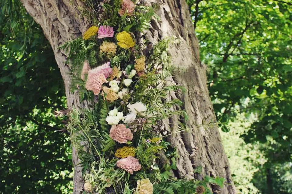 L'esprit Grande Prairie — photo 5