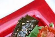 Pastilla Tempura — photo 4