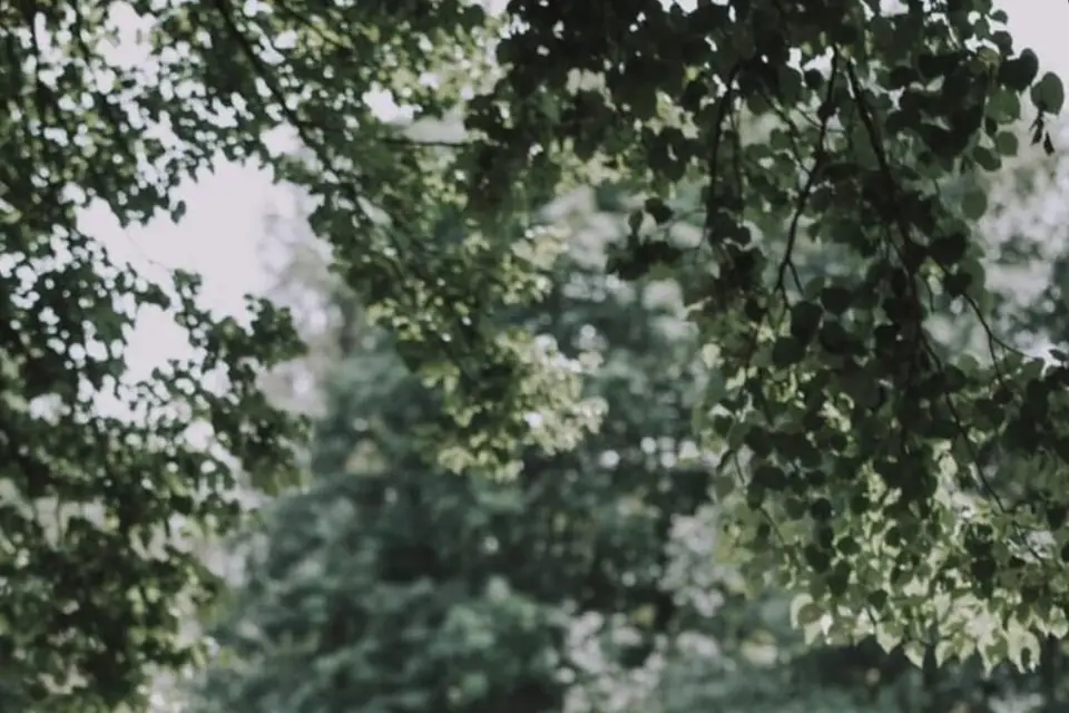 Moment d'Exception — photo 6