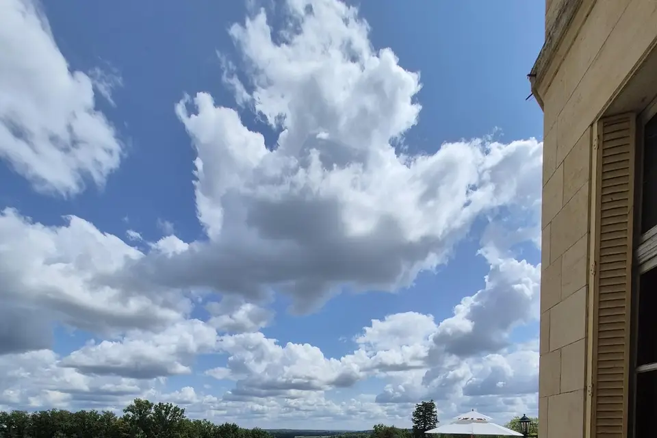 Vi'P Evènementiel — photo 5