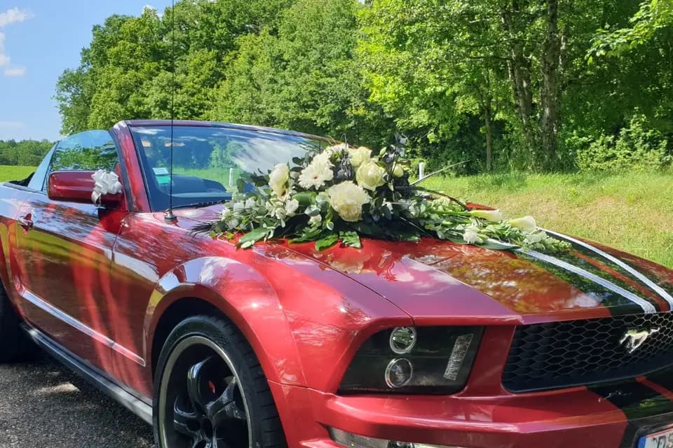 Wedding Car 51 — photo 8