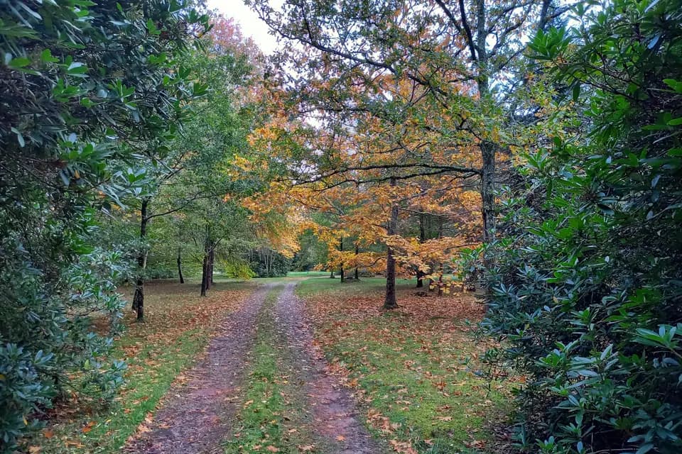 Manoir de Bois la Ribière — photo 3