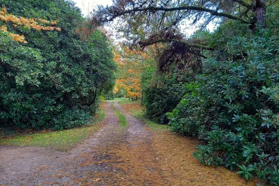 Manoir de Bois la Ribière — photo 2