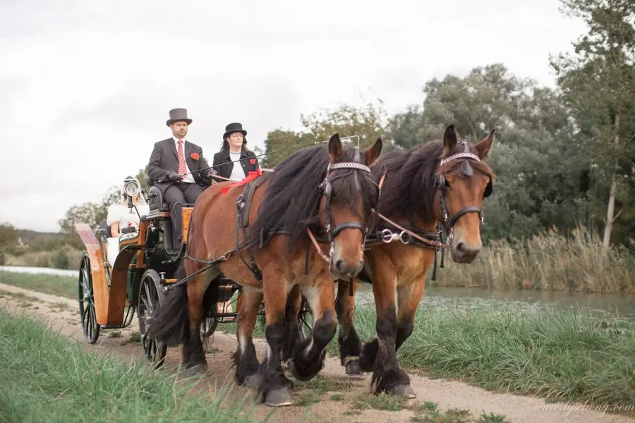 Ferme de Combe Noire — photo 5