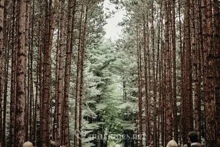 Moment d'Exception — photo 8