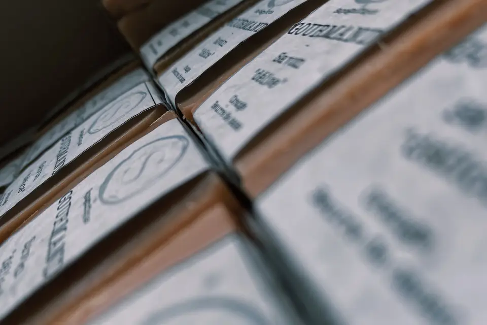 Sapognifique — photo 2