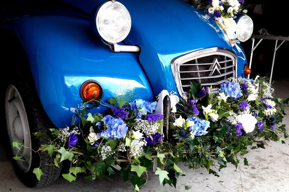 Les fleurs d'amande — photo 6