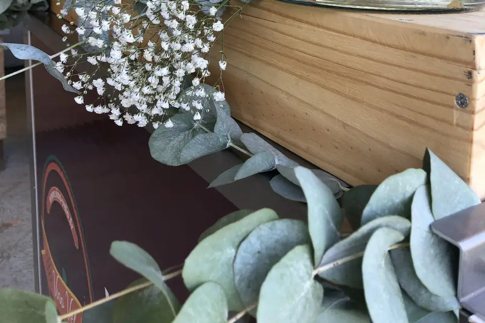 Vino Vélo — photo 5