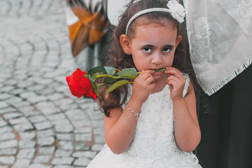 Motion Studio — photo 5