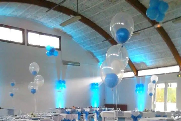 David Ballon Evolution — photo 7