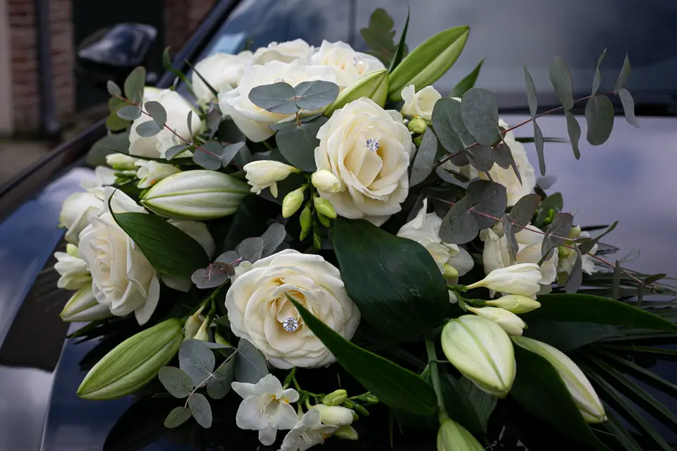 Marie Populaire Photographie — photo 1