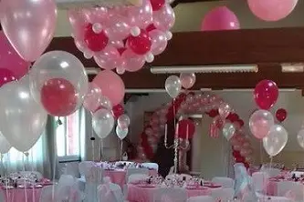 David Ballon Evolution — photo 2