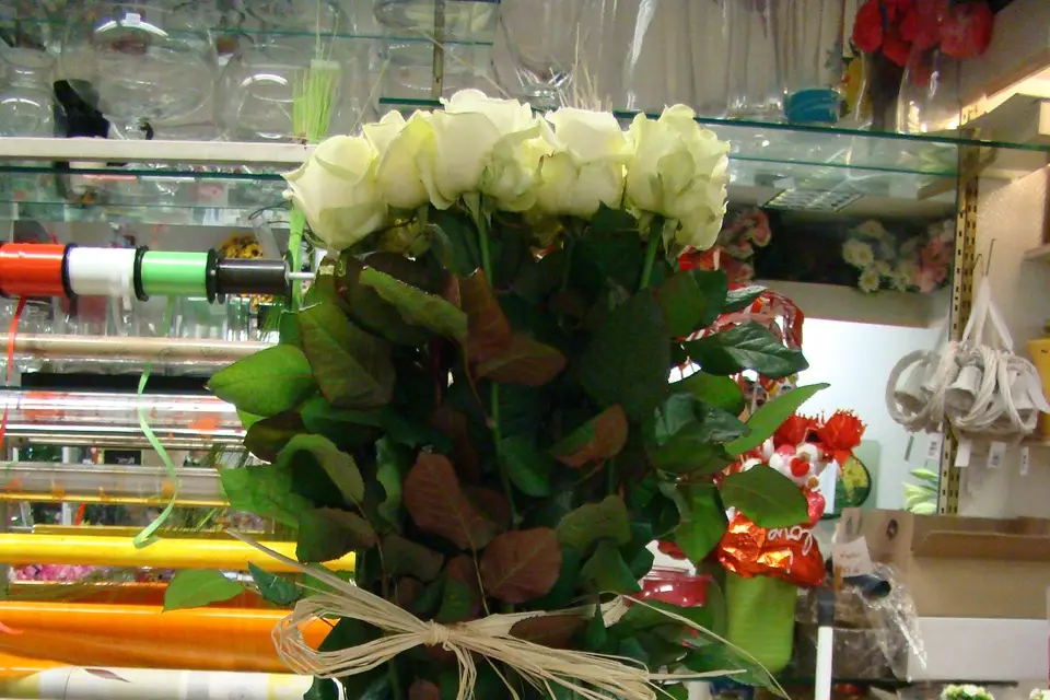 Au Jardin de Provence — photo 8