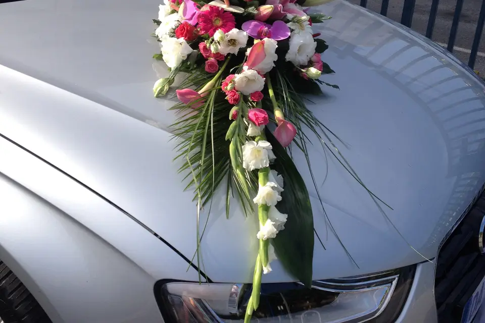 Au Jardin de Provence — photo 1