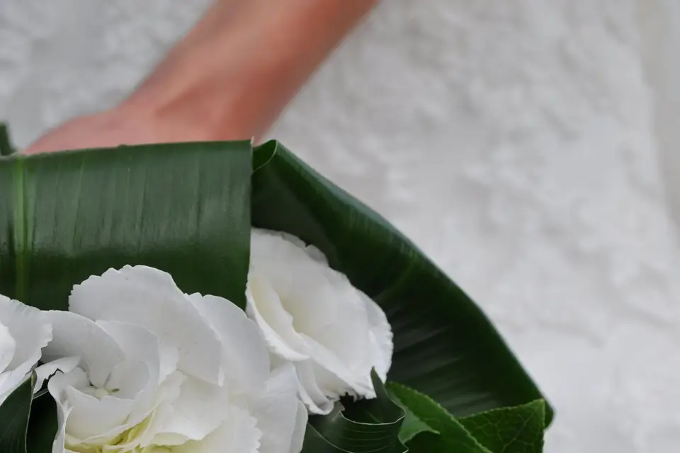 Ariane Py — photo 2