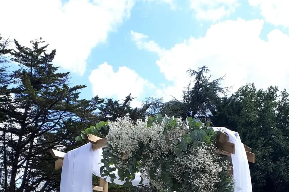 Bourgeon — photo 7