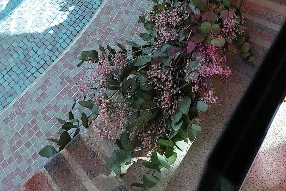 Bourgeon — photo 4