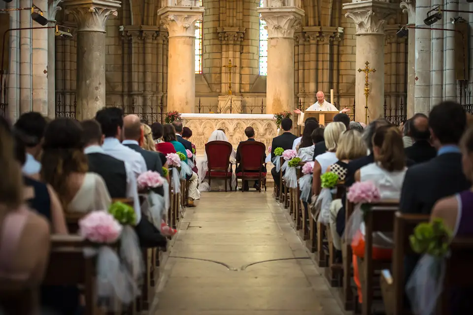 Bourgeon — photo 5