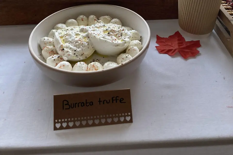 Break In Landes — photo 7