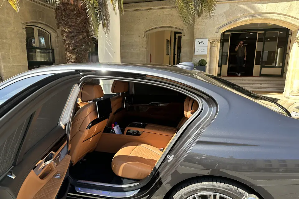 Aquitaine Limousine — photo 7