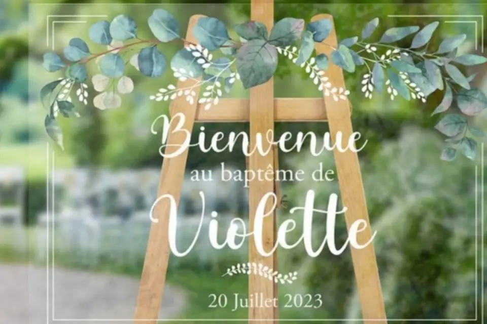 SonoPulse — photo 2