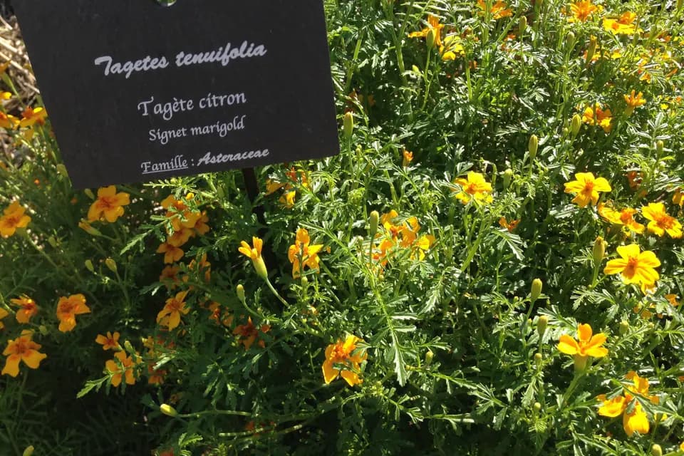 Emmagine Le Bout du Monde — photo 4