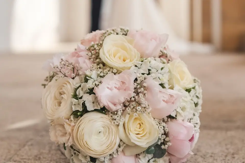 ML'O.Pix Photographie — photo 5