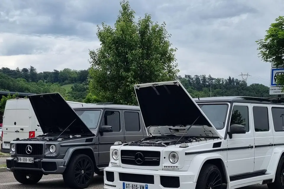 Vermond Prestige — photo 5