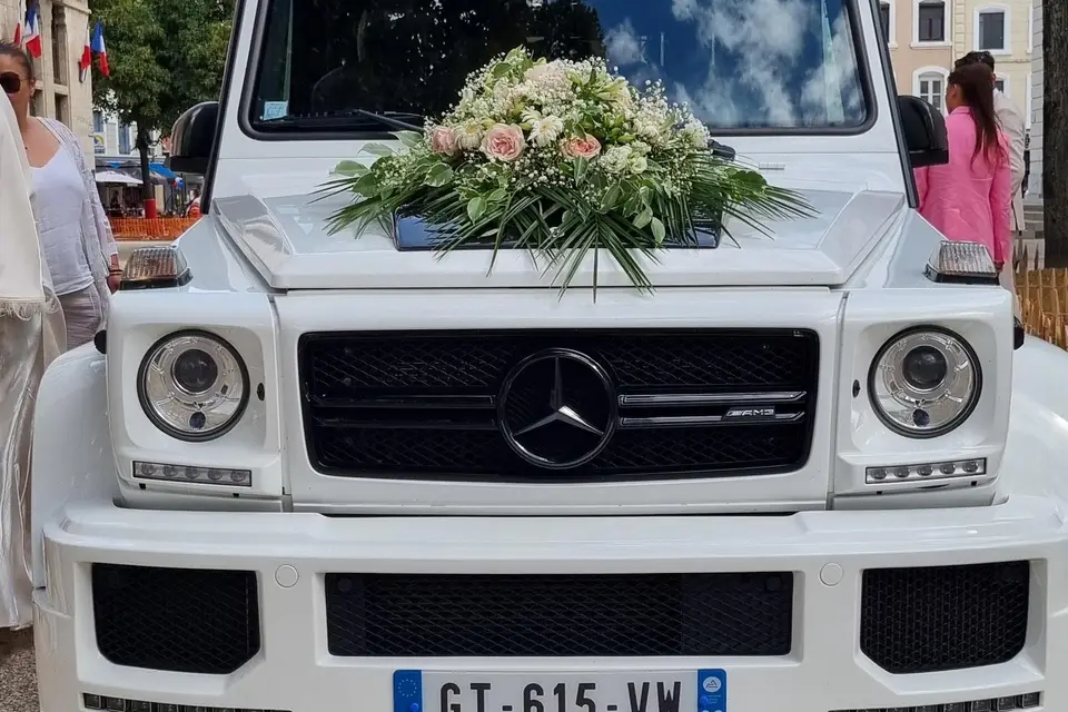 Vermond Prestige — photo 7