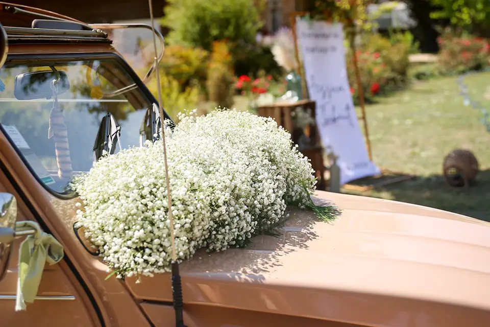 Un Brin d'Folie — photo 4