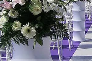 Sud Concept — photo 6