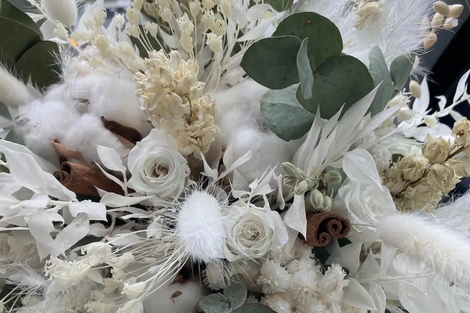 Les créations incontournables — photo 6