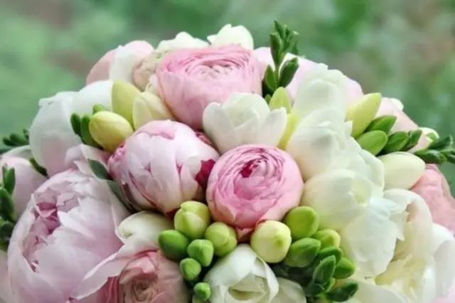 Passionnement — photo 5