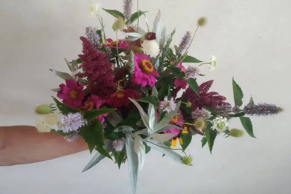 Fleurs du Brionnais — photo 4