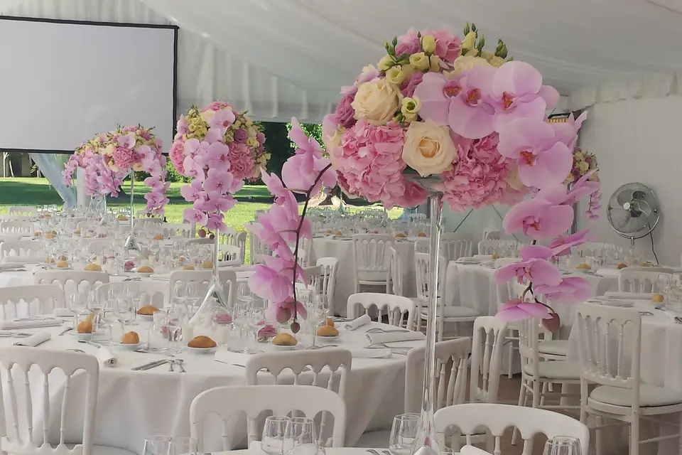 Ducat Évènements — photo 4