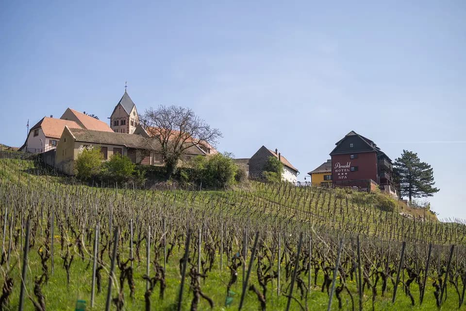 Hôtel Restaurant Arnold — photo 1